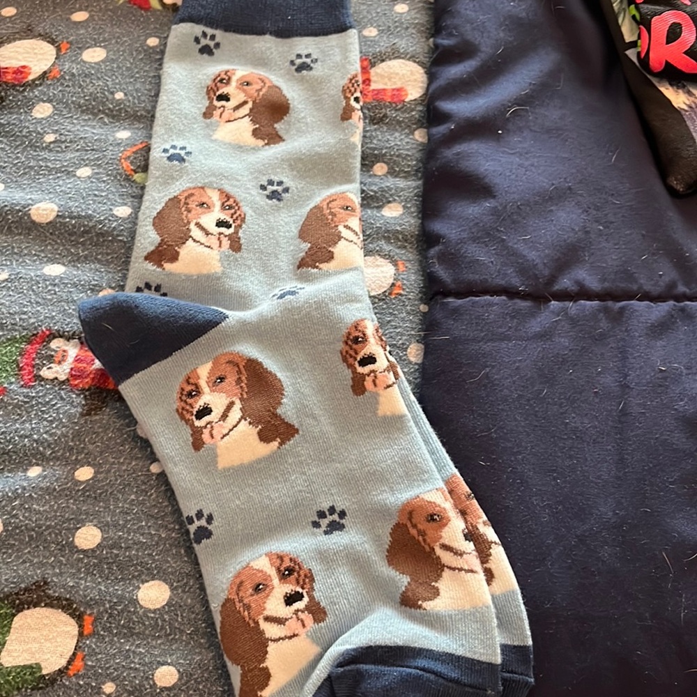 Beagle socks